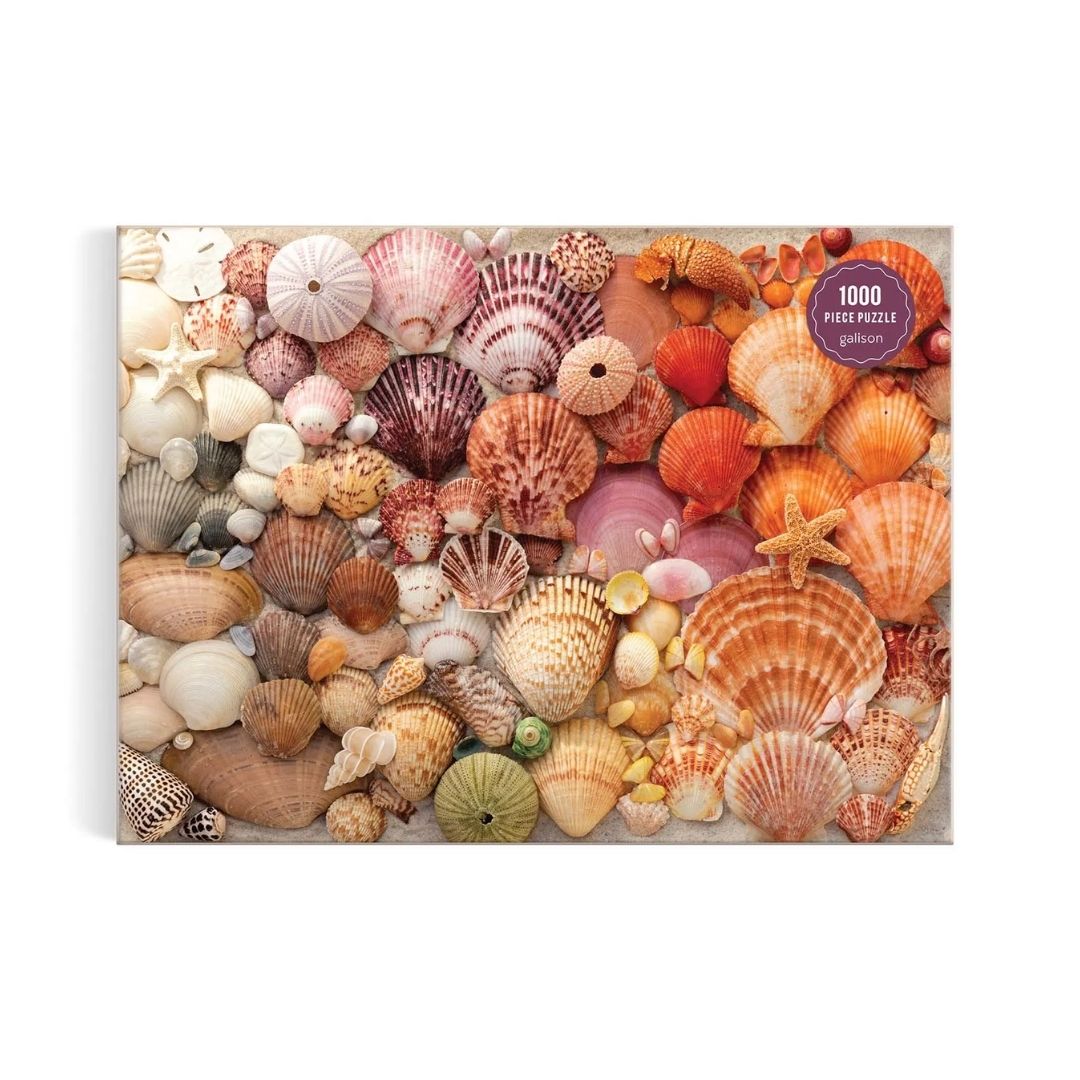 Vibrant Seashells Puzzle