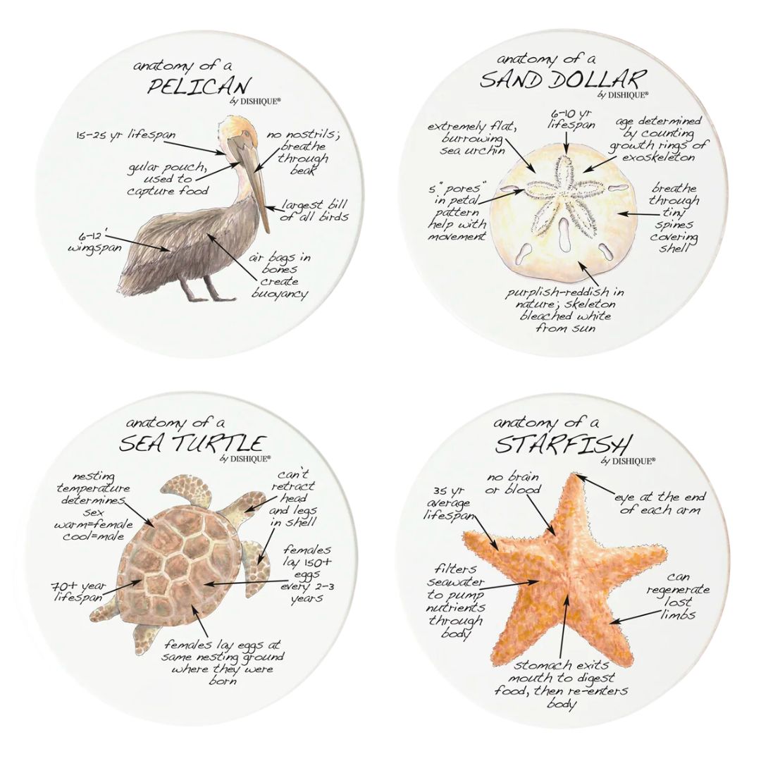 Dishique Square Coaster Set