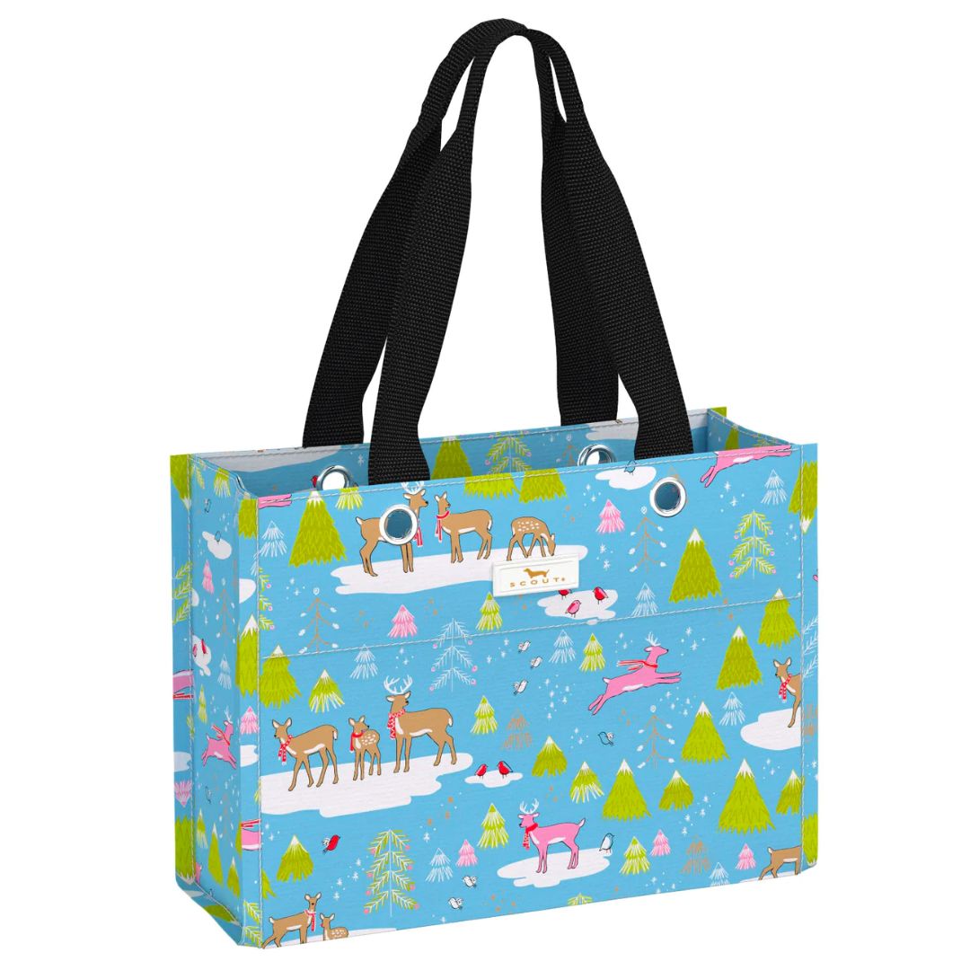 Scout Tiny Package