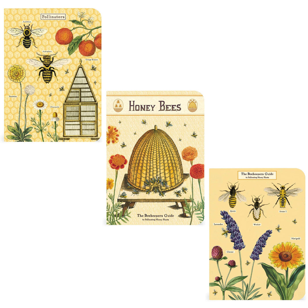 Cavallini Mini Notebooks- set of 3