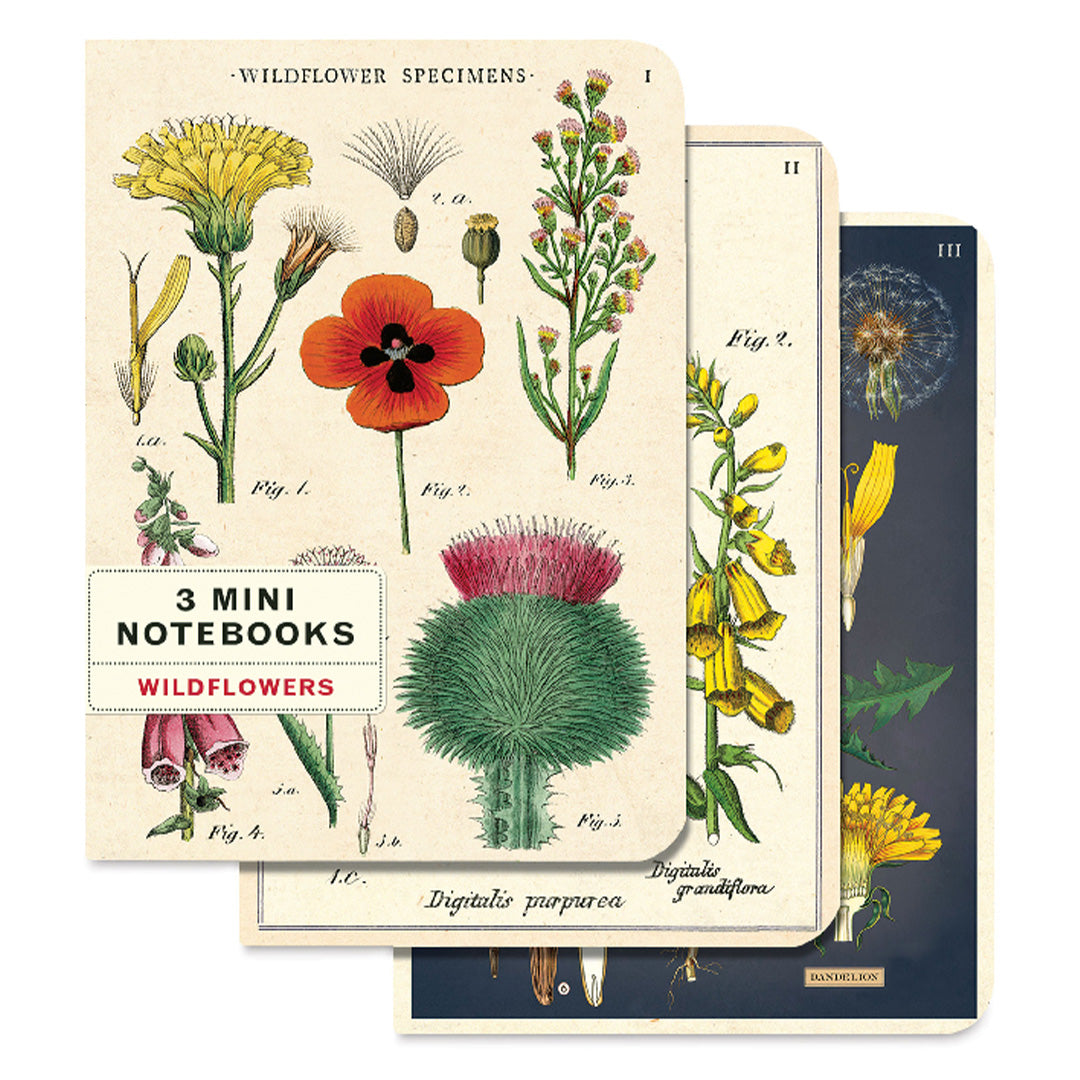 Cavallini Mini Notebooks- set of 3