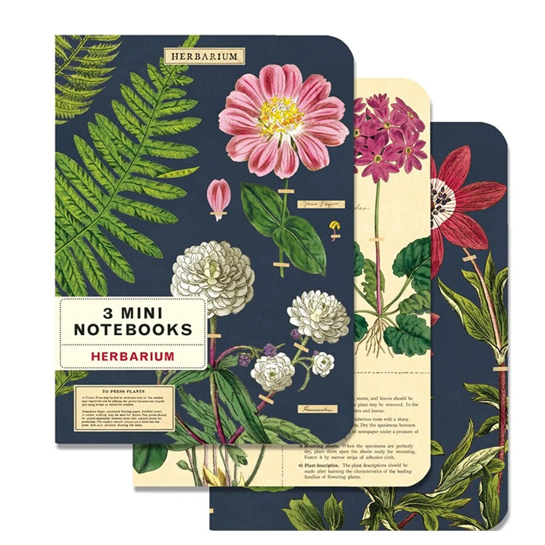 Cavallini Mini Notebooks- set of 3