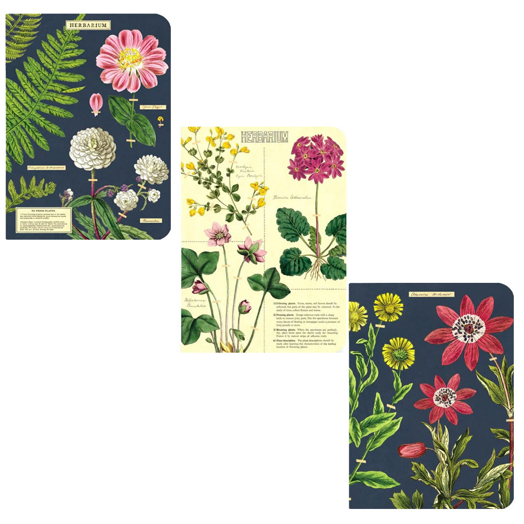 Cavallini Mini Notebooks- set of 3