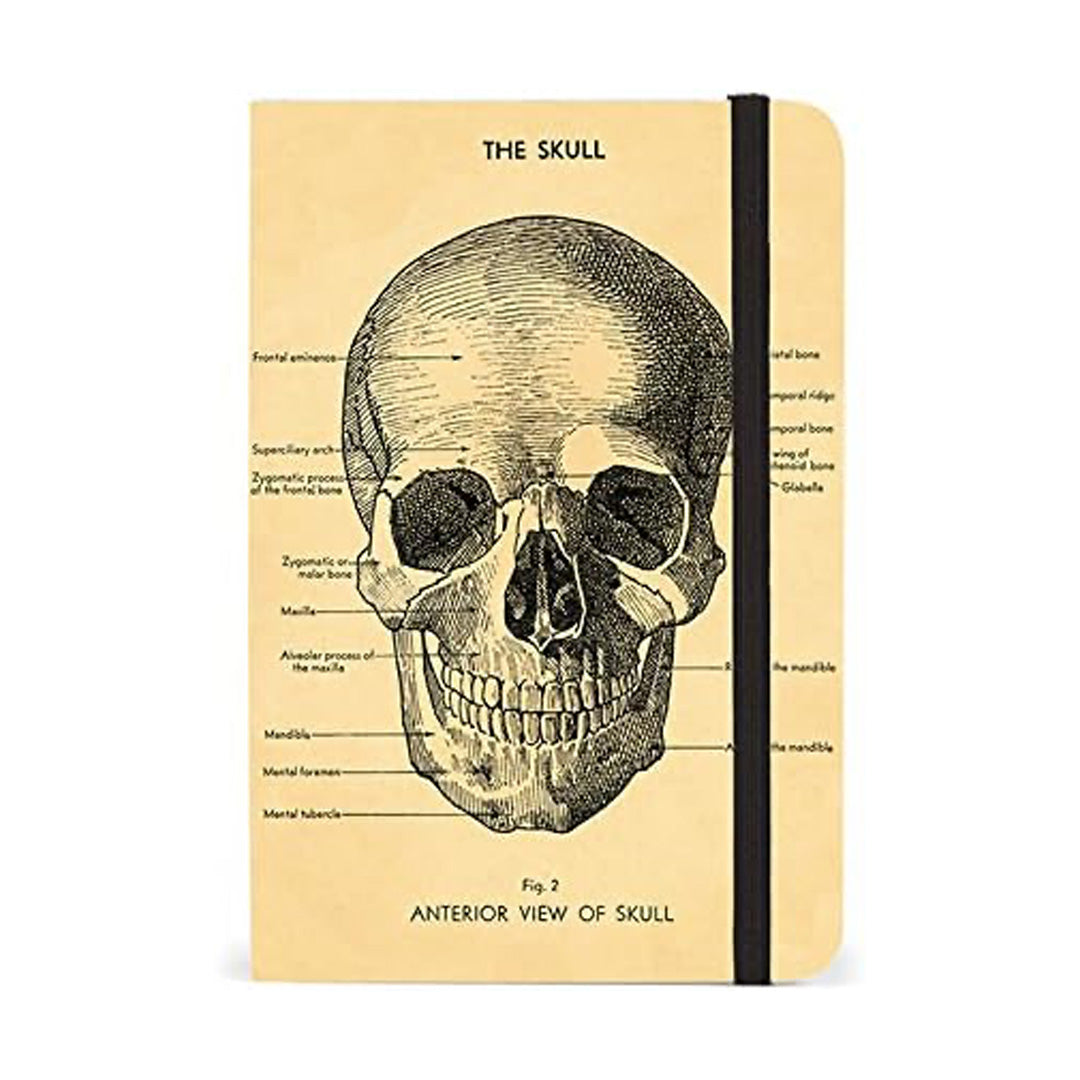Cavallini Small Notebook w/Elastic