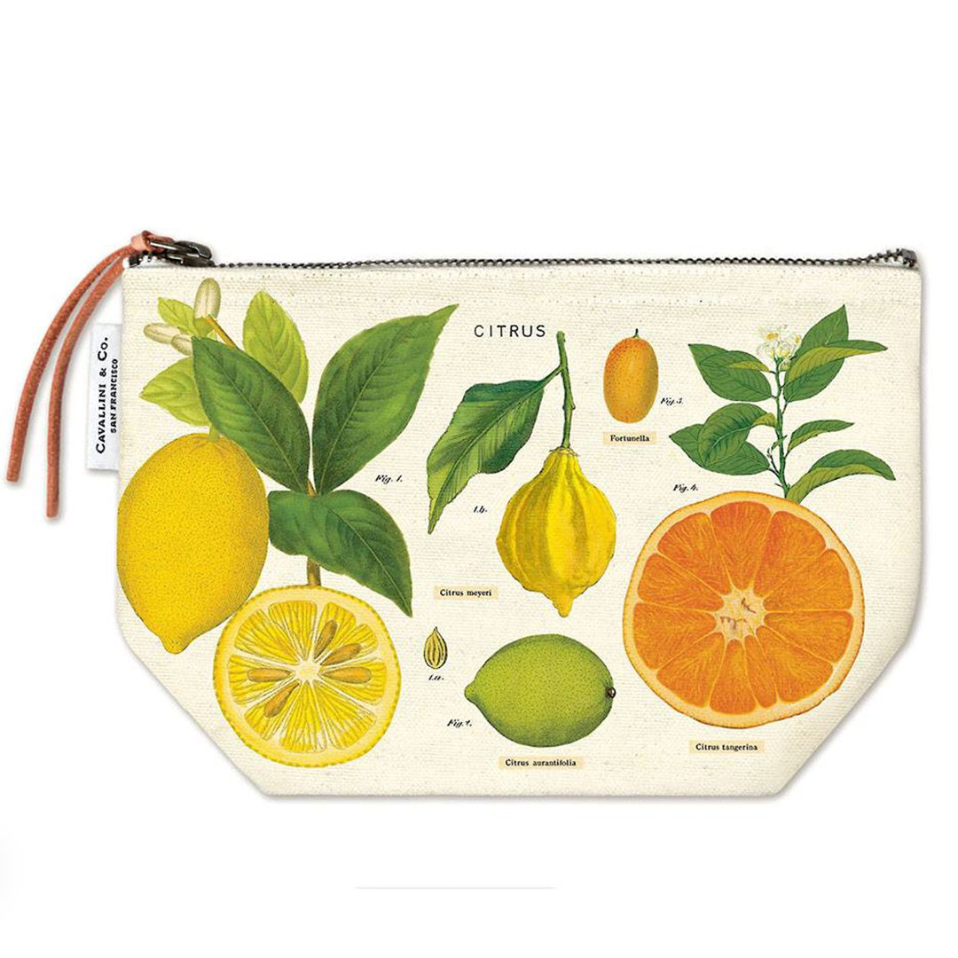 Cavallini Pouch