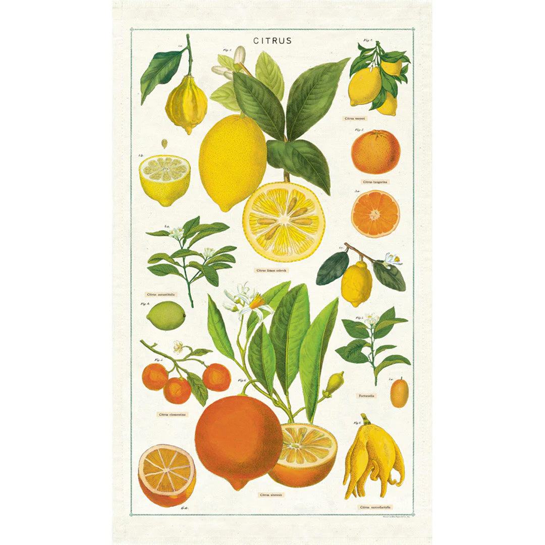 Cavallini Tea Towel