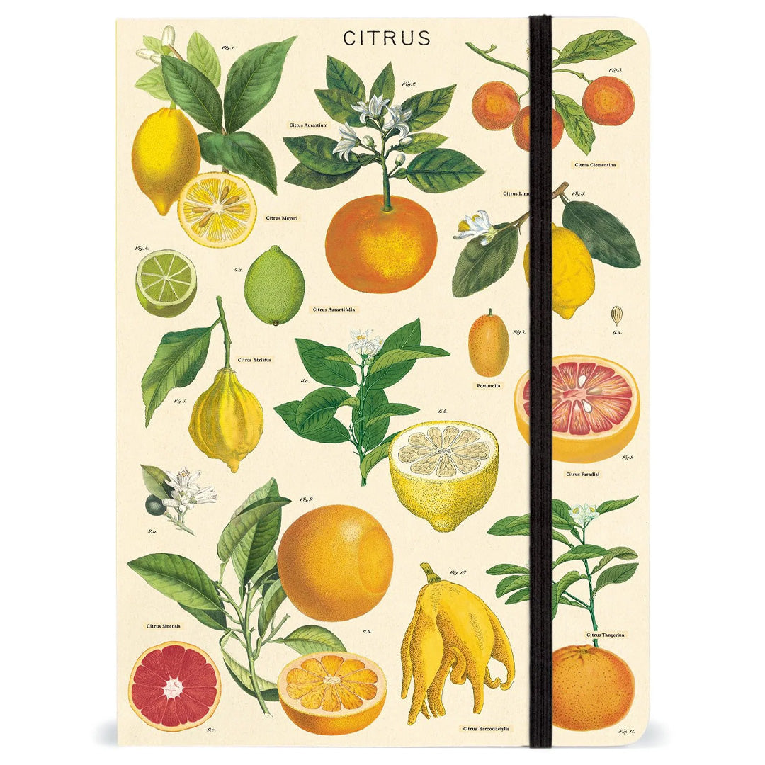 Cavallini Large Notebook w/Elastic