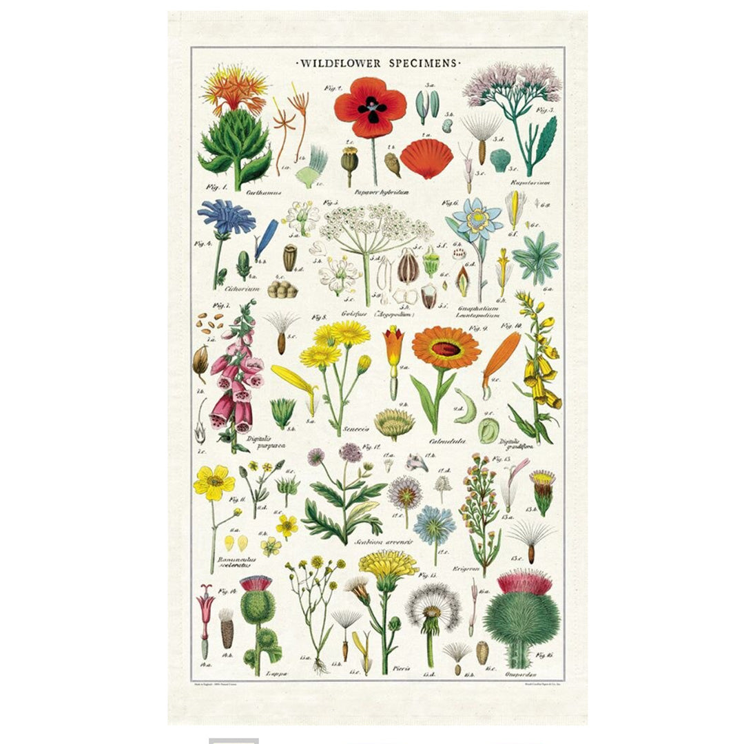 Cavallini Tea Towel