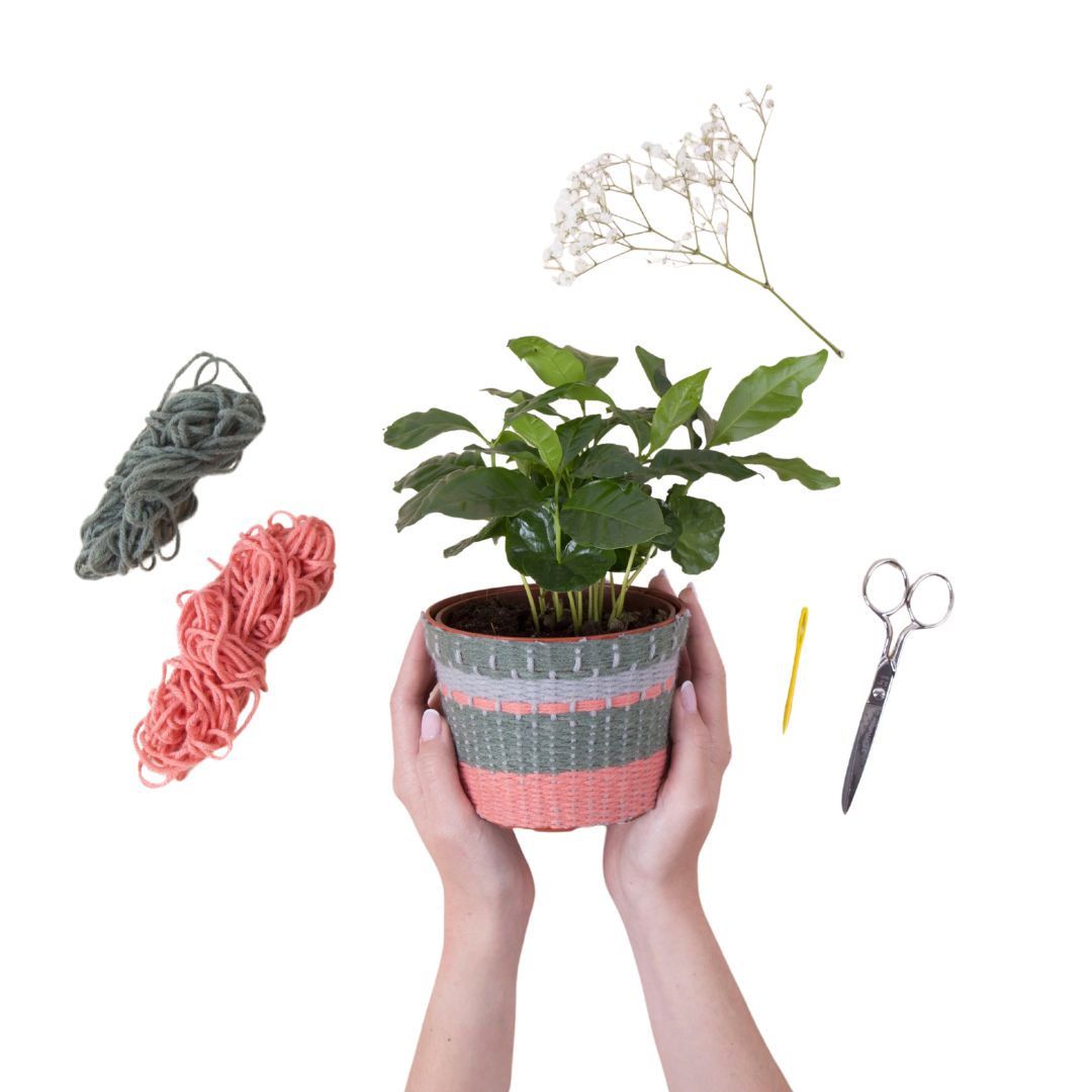Kikkerland Knit Your Own Planter Cover Kit