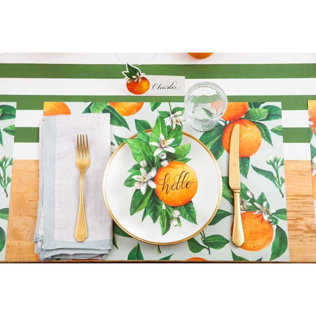 Hester and Cook Placemats