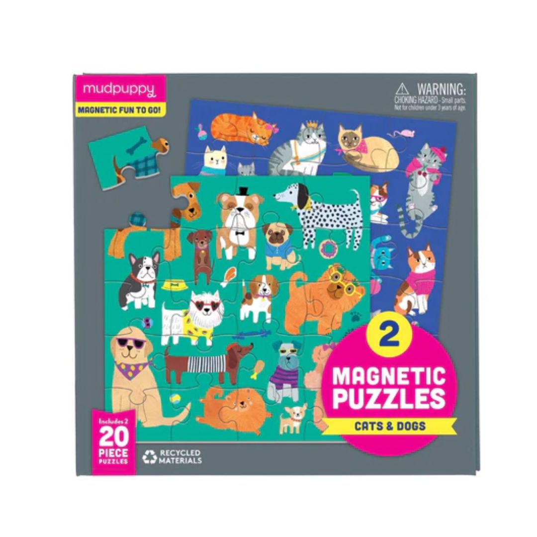 Magnetic Puzzles