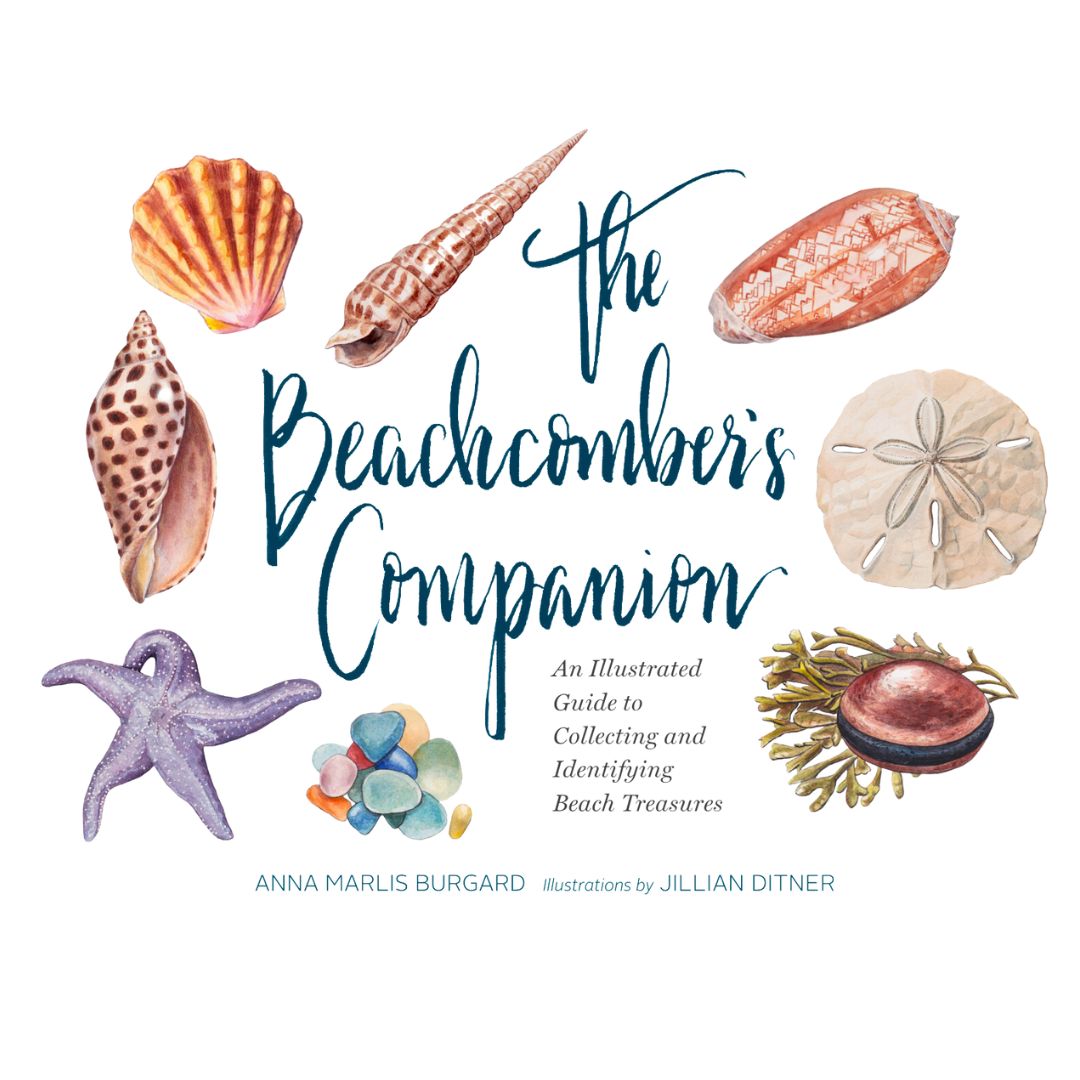 Beachcombers Companion