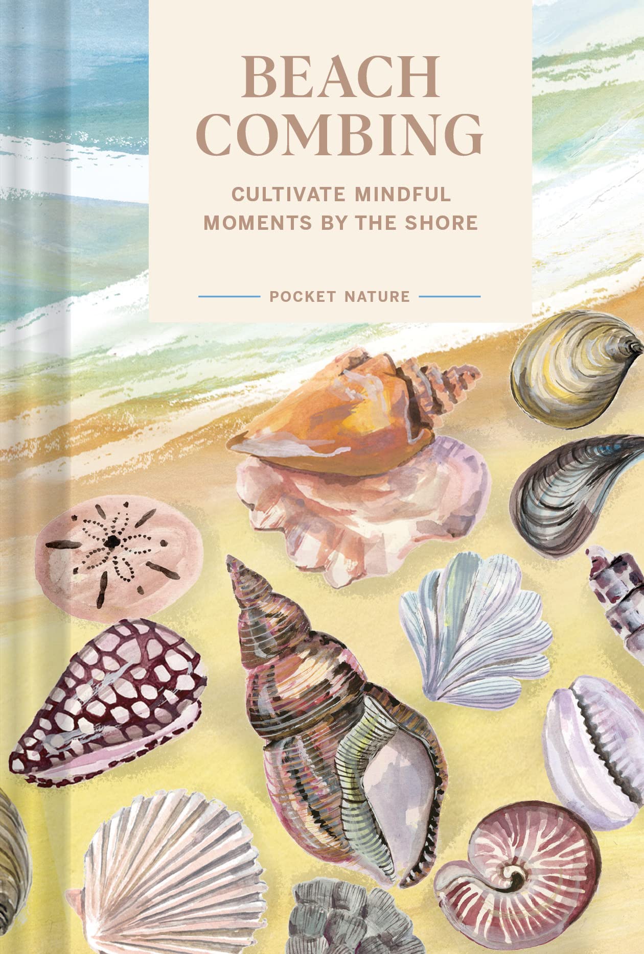 Pocket Nature Series: Beachcombing